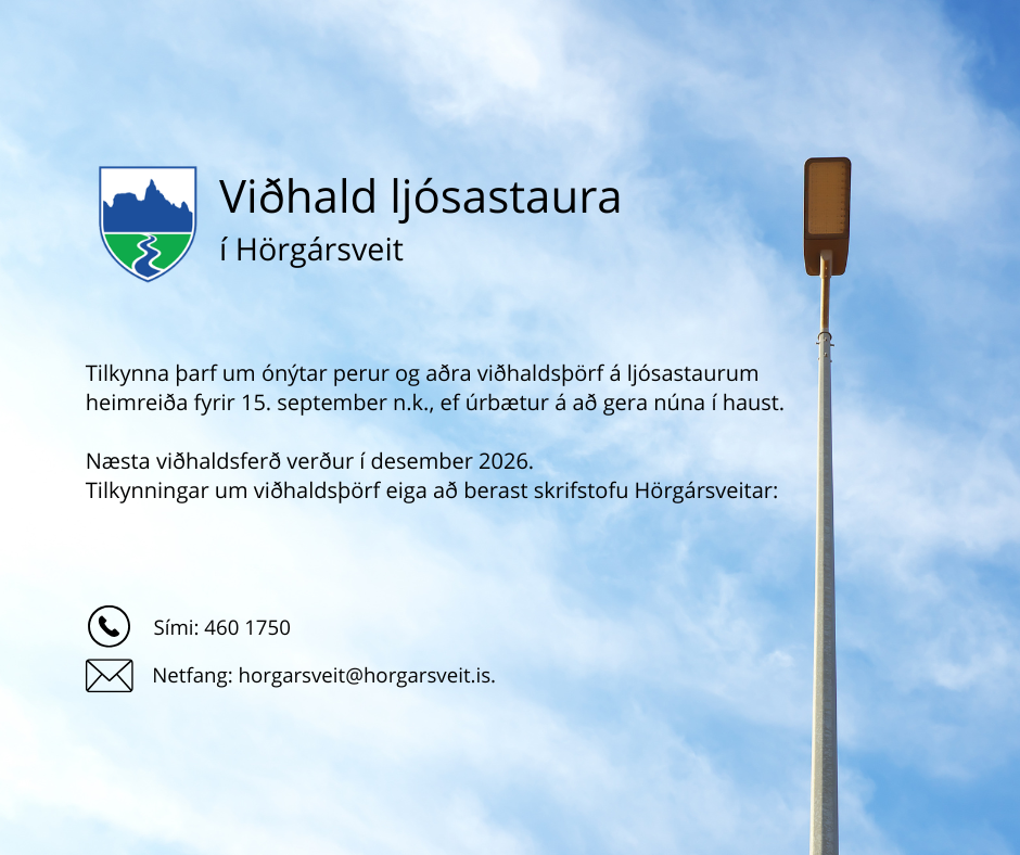 Viðhald ljósastaura