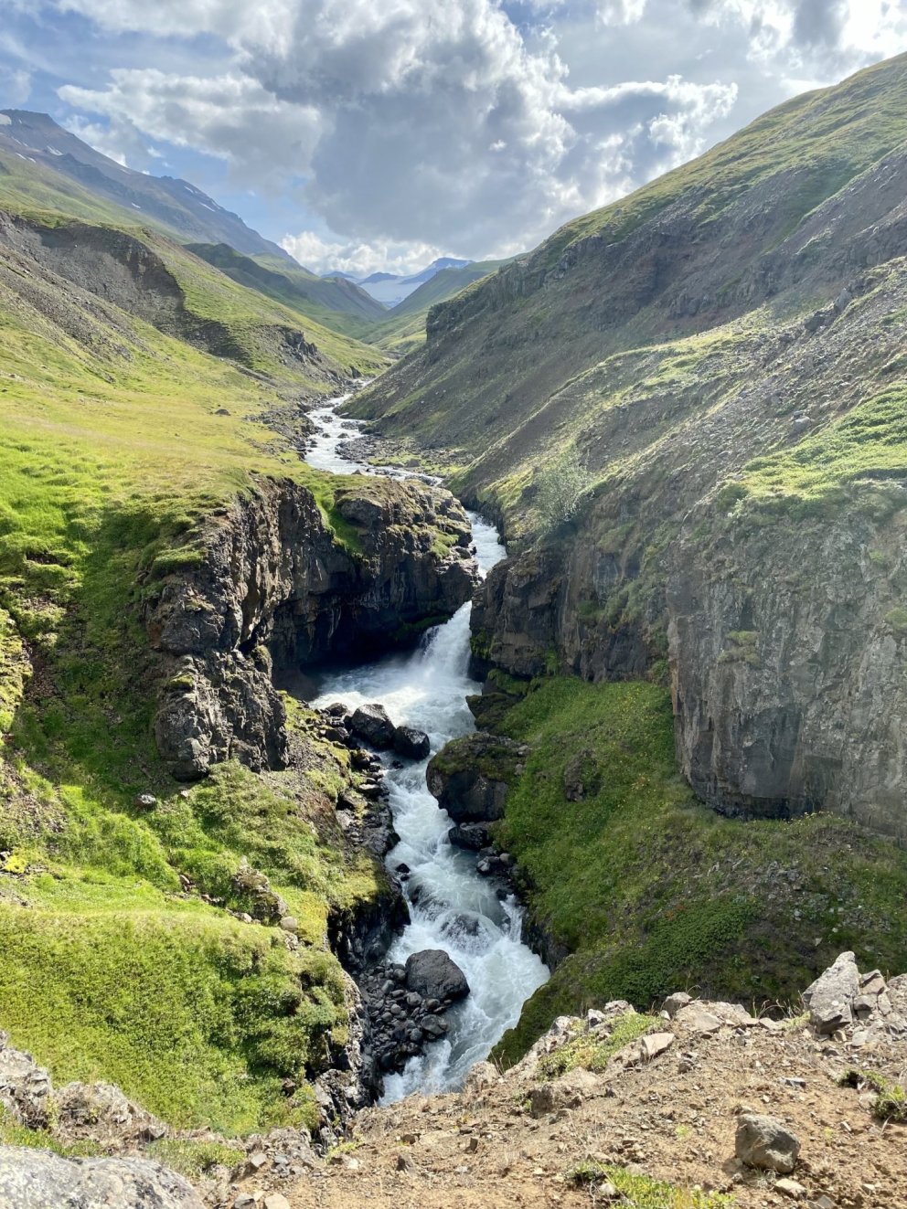 Gangnaseðlar í Hörgársveit