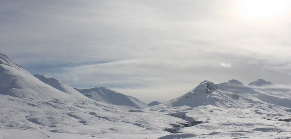 Samþykkt um búfjárhald