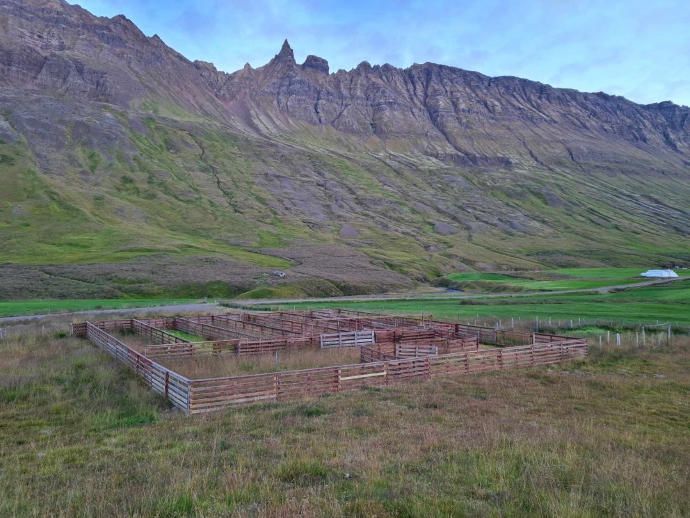 Gangnaseðlar í Hörgársveit