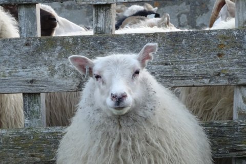 Göngur almennt laugardaginn 14. september 2019