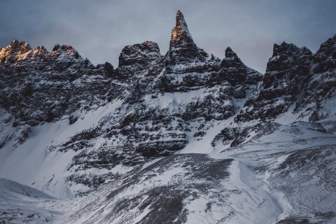 Fréttabréf | 14. árgangur 4. tölublað