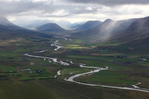 Gangnaseðlar haustið 2024