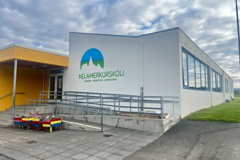 Þjóðaratkvæðagreiðsla 29. ágúst
