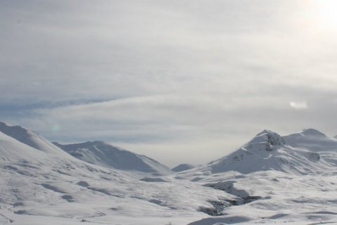 Samþykkt um búfjárhald